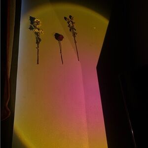 brand new SUNSET LAMP it’s not big